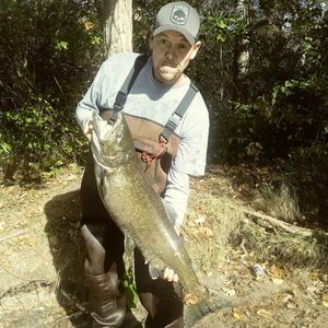 Meet your Posher, Bud